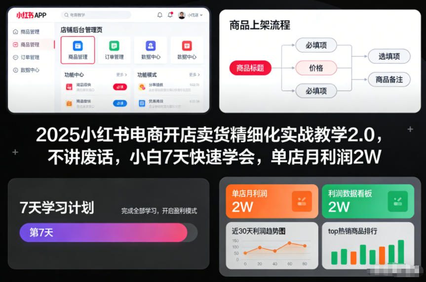2025小红书电商开店卖货精细化实战教学2.0，不讲废话，小白7天快速学会，单店月利润2W-小目标云网创