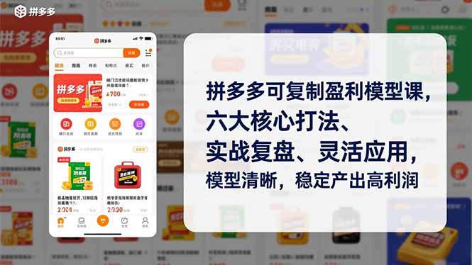 拼多多可复制盈利模型课，六大核心打法、实战复盘、灵活应用，模型清晰，稳定产出高利润-小目标云网创